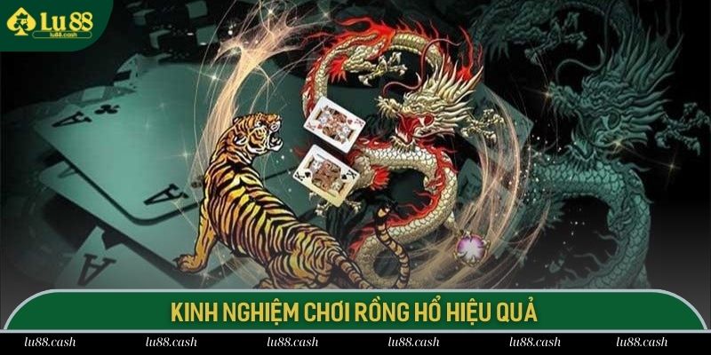 Cách Chơi Rồng Hổ - Bí Quyết Chiến Thắng Cho Newbie LU88 Hội viên áp dụng kinh nghiệm để giành chiến thắng với Rồng Hổ